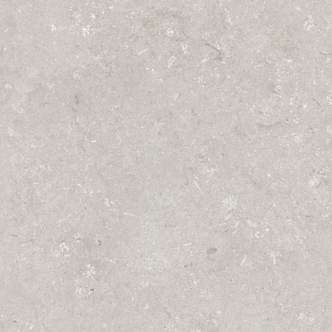 <strong>Spessorati</strong> Ultra Shellstone Bianco